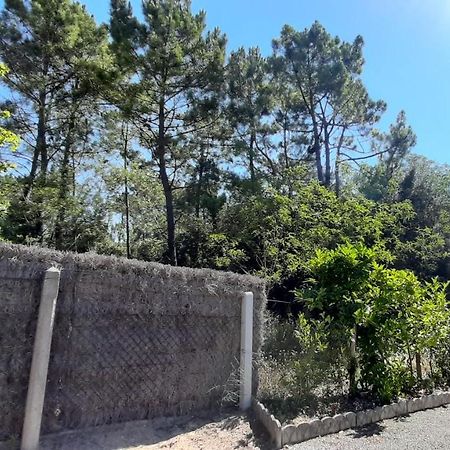 La Foret Des Rossignols - Maison 2 Chambres, Jardin Et Terrasse Saint-Jean-de-Monts Dış mekan fotoğraf
