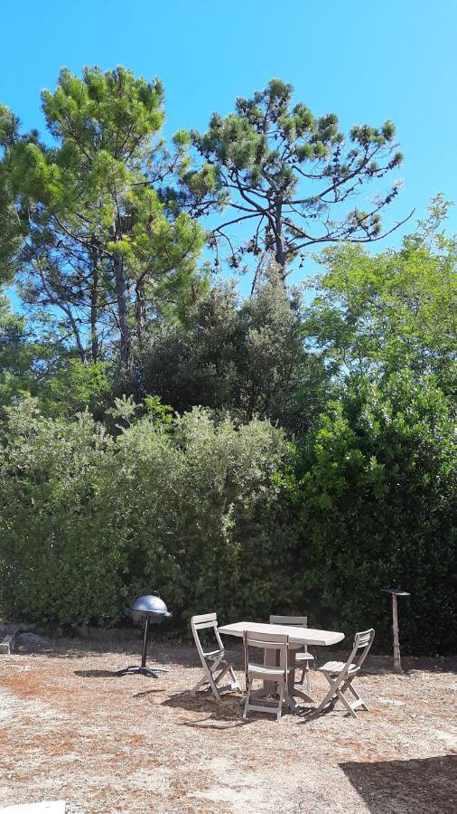 La Foret Des Rossignols - Maison 2 Chambres, Jardin Et Terrasse Saint-Jean-de-Monts Dış mekan fotoğraf